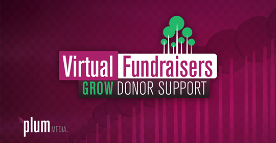 Plum Media to Host Virtual Fundraiser Webinar